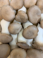 Organic King Eryngii Mushrooms - 3lb (1.35kg)
