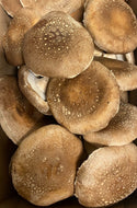Organic Large Shiitake Mushrooms - 3lb (1.35kg)