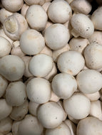 White Select Mushrooms - 5lb (2.27kg)